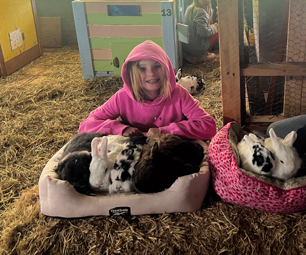 enjoying the bunnies