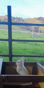 menu-mobile-IMG_1440