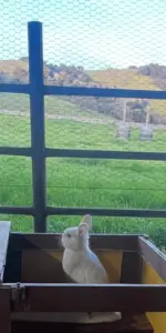 menu-mobile-IMG_1440