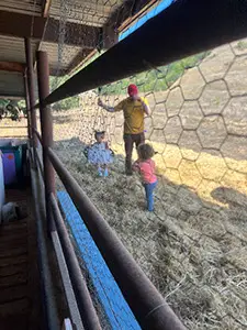 Pumpkingpatch2025_1c99307c-ce37-4622-b78c-6b8aa13dfd39