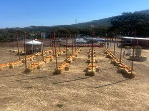 Pumpkingpatch2025_2bbfe435-dda4-4b9a-9986-72b6011193d7