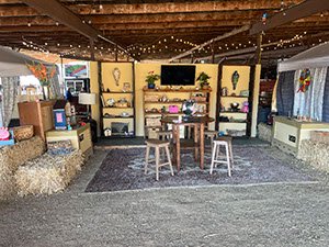 Pumpkingpatch2025_70d98fc8-3872-43a8-8de8-6c2e47fddcd0