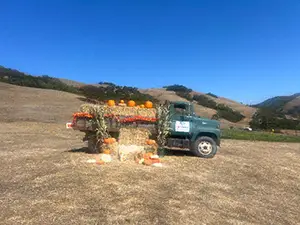 Pumpkingpatch2025_81d04ad8-5657-4722-a126-50e6e2d9e4fe