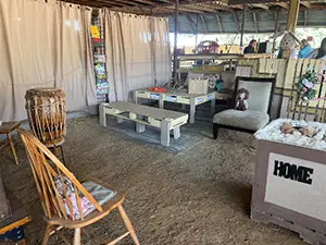 Pumpkingpatch2025_88c4279c-2ec4-49da-875f-09db00a88ef8