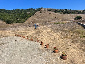 Pumpkingpatch2025_b0131643-fa68-4e74-b999-c316b36ca500