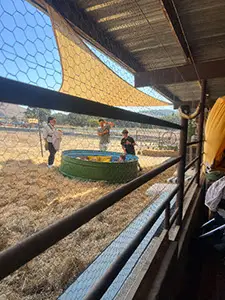 Pumpkingpatch2025_c6c1eed5-50f3-4af2-b5ad-440b385d887b