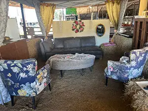 Pumpkingpatch2025_f2e03045-c44c-4d29-8a23-f5dee7696699